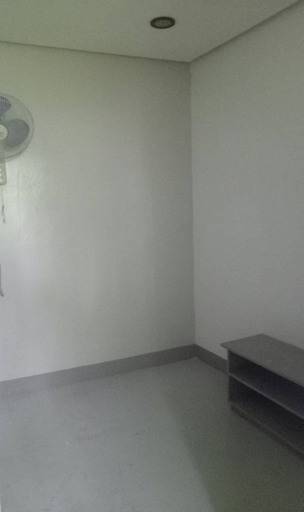 Budget Female  Room for Rent